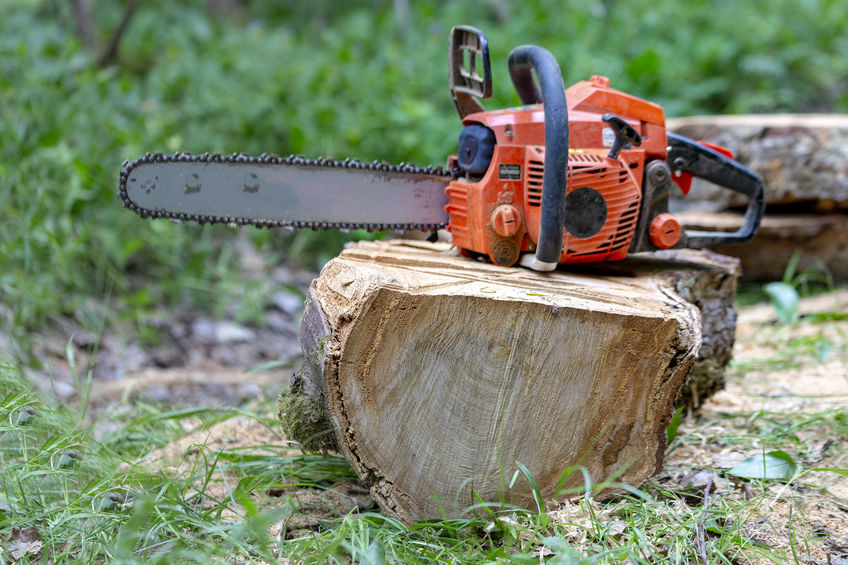 Cutting down trees in Newmarket, Aurora, Barrie, Innisfil. Professional Arborists