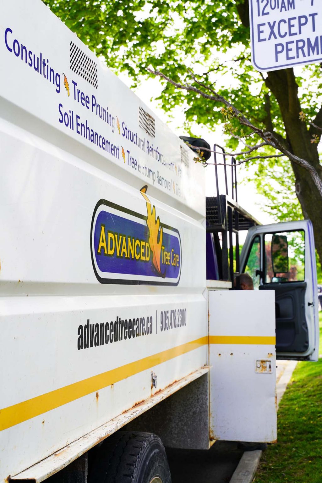 The Roadmap to Ontario Tree Permits: ATC's Insights | Advanced Tree Care