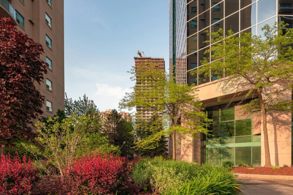 Trees surrounding buildings