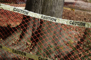 Orange mesh construction fencing with yellow and black caution tape wrapped around the trunk of a large tree, protecting it during a construction project, with fallen leaves visible on the ground.