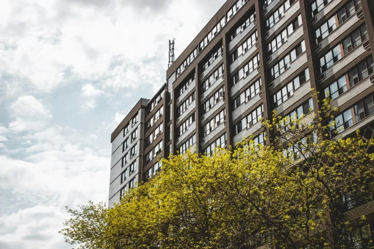 A brown apartment building with a green tree in the foreground and blue sky with white clouds in the background.