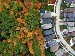 Fall coloured trees surrounding a neighbourhood